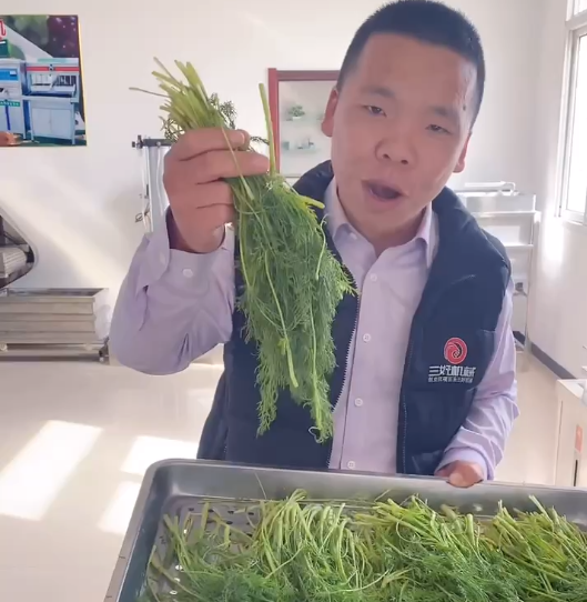 餃子機(jī)為什么做不了素餡 餃子機(jī)為什么做不了素餡