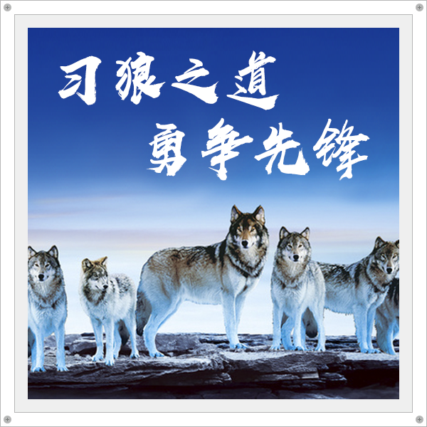 習狼之道，勇爭先鋒
