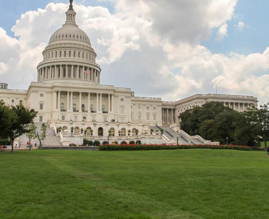 美國餃子館用餃子機包餃子 美國餃子館用餃子機包餃子