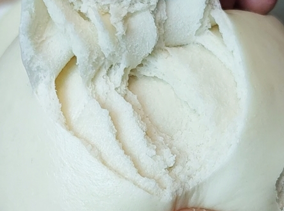 三好戧面饅頭機做的饅頭